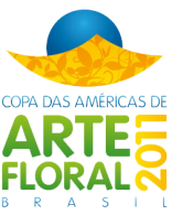 Copa das americas Copa das americas