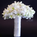 ORQUÍDEA 4